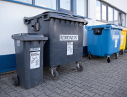 Jak zadbać o środowisko w okresie świątecznym?