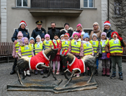 Koziołki gotowe na święta