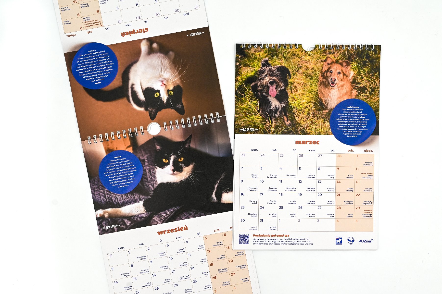 Na zdjęciu dwa rozłożone kalendarze, na jednym widać psy, na drugim - koty
