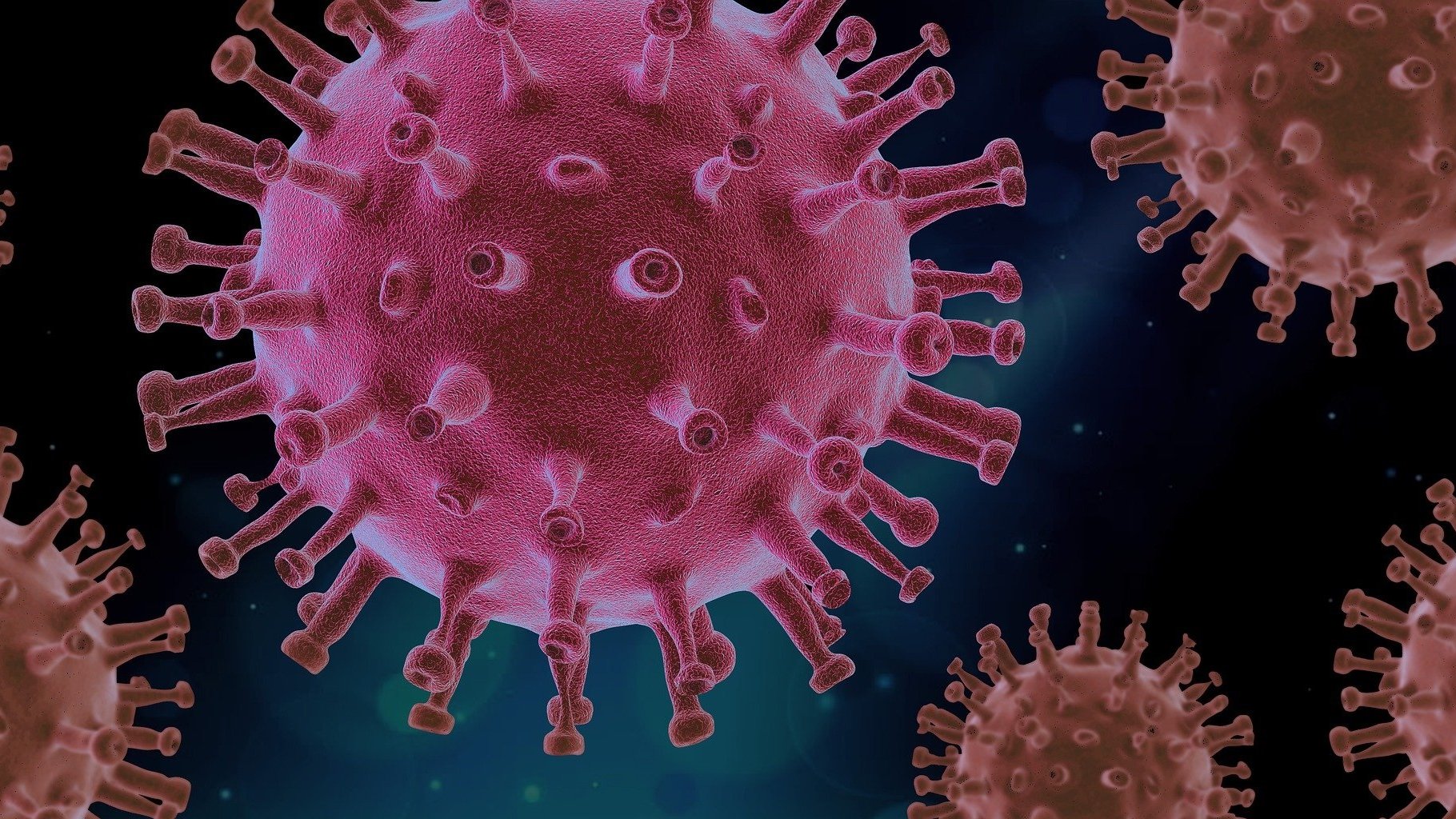 Grafika przedstawiająca różowe cząsteczki koronawirusa na niebieskim tle