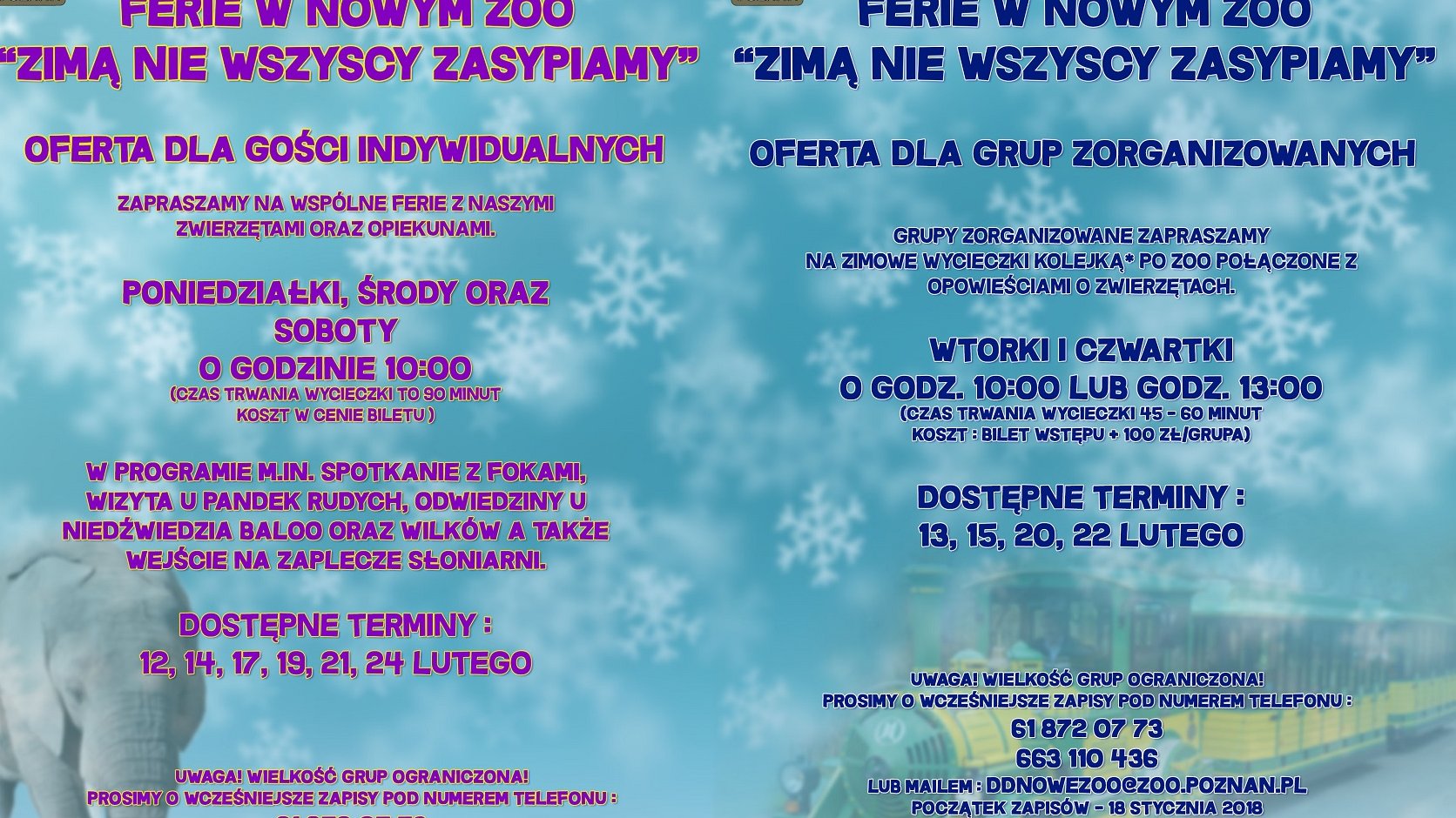 Bogatą ofertę ma też poznańskie zoo