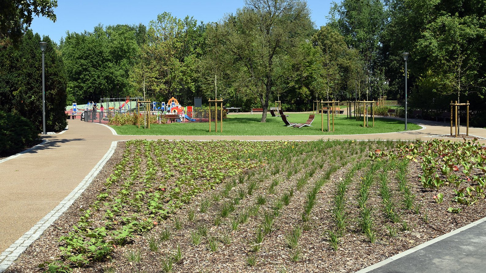 Park im. A. Wodziczki