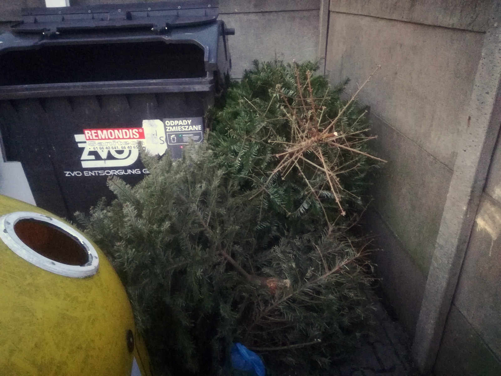 W styczniu i lutym prowadzona jest zbiórka odpadów ulegających biodegradacji - drzewek świątecznych - grafika artykułu