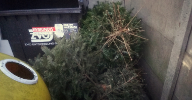 W styczniu i lutym prowadzona jest zbiórka odpadów ulegających biodegradacji - drzewek świątecznych