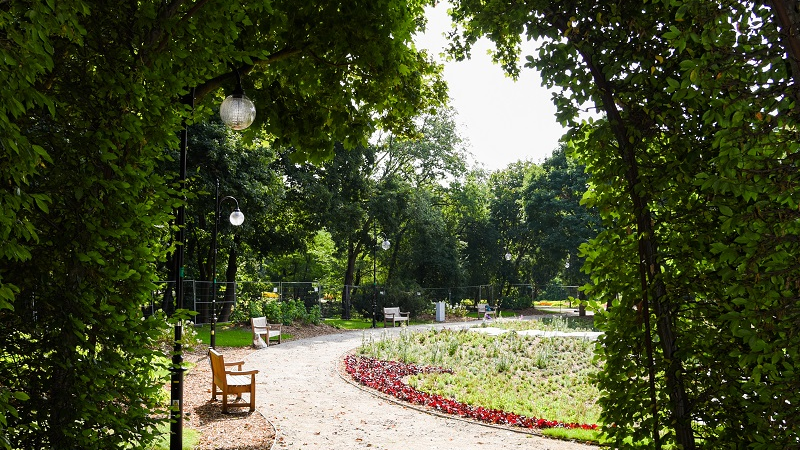 Trwają prace w ogrodzie wodnym - jesienią będzie on dostępny dla poznaniaków