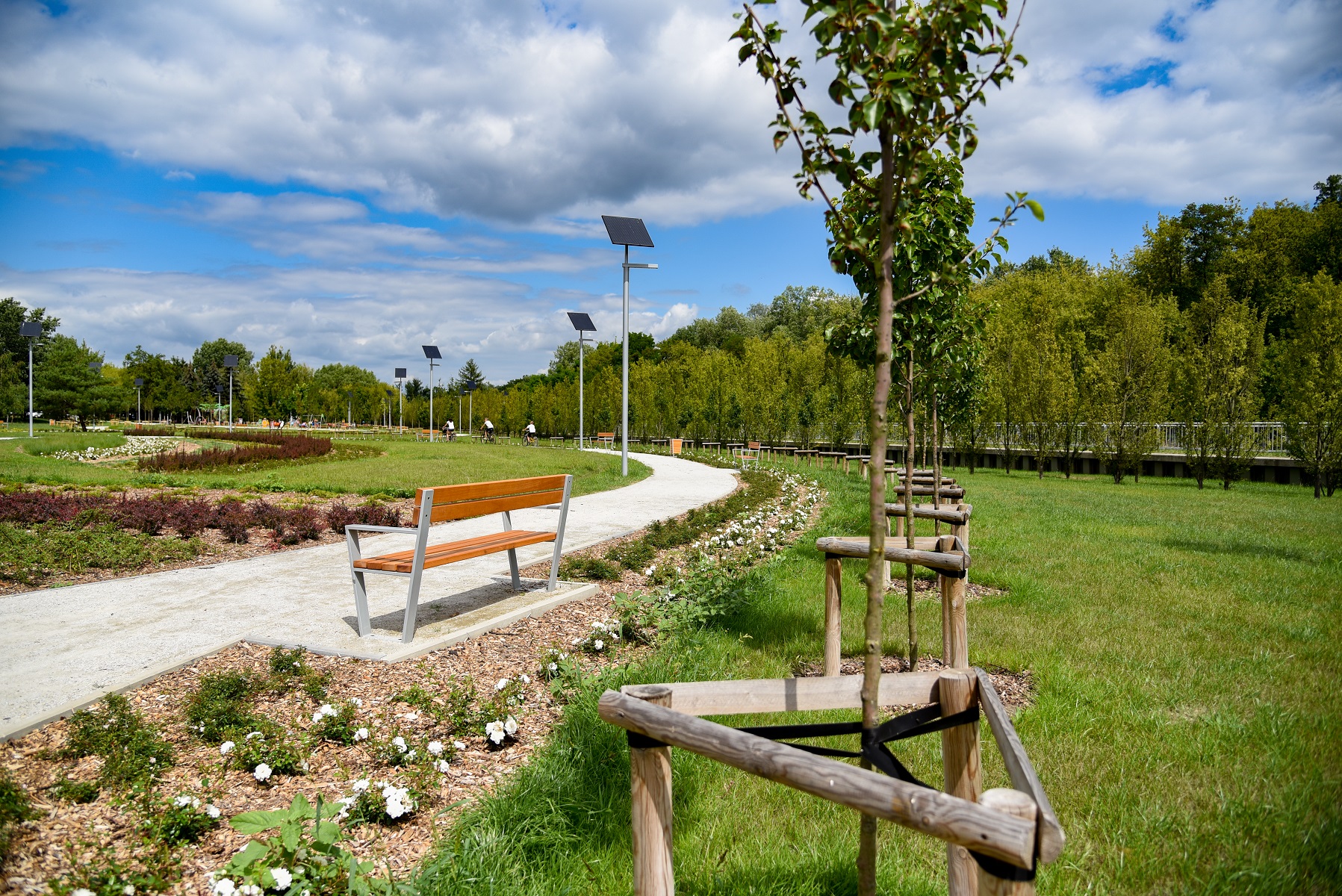 Mieszkańcy Poznania zyskali nowy park przy ul. Dolna Wilda - grafika artykułu