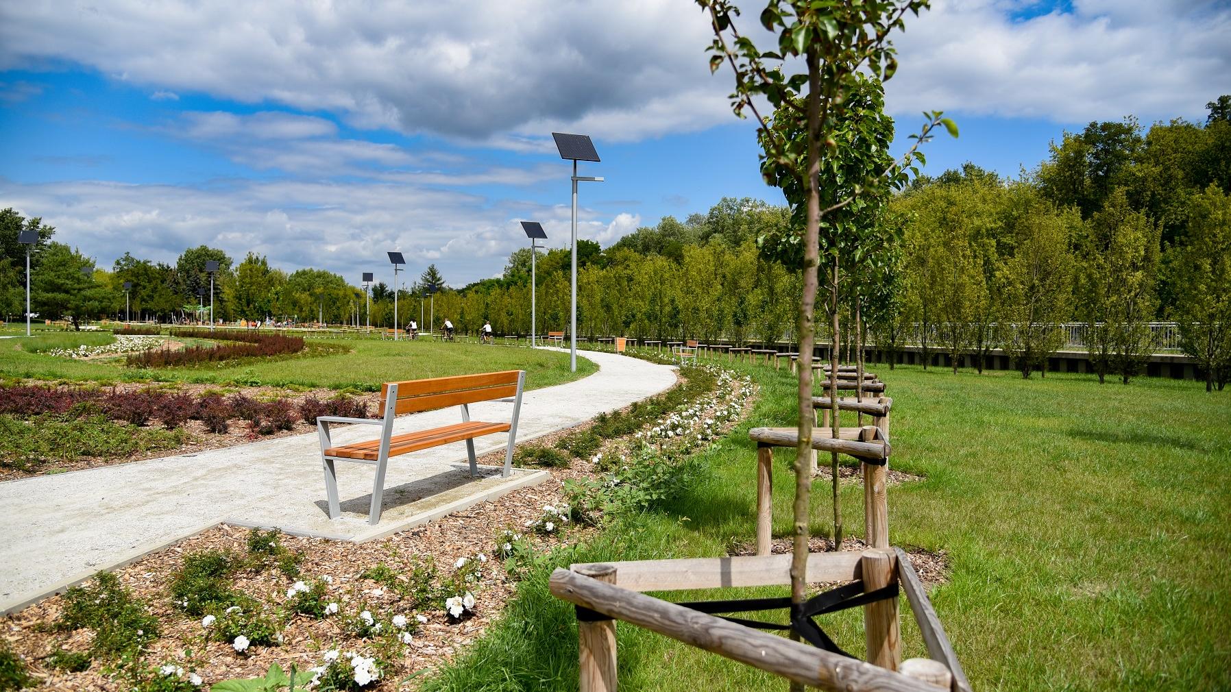 Mieszkańcy Poznania zyskali ostatnio nowy park przy ul. Dolna Wilda. Miejscy radni nadali mu imię Bambrów Poznańskich - grafika artykułu