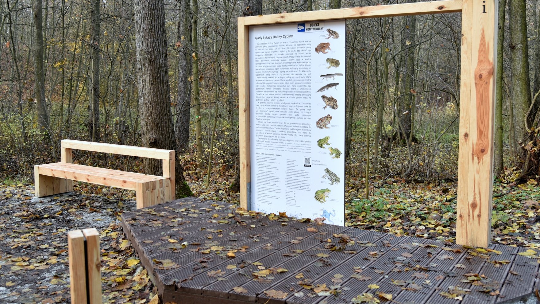 Nowe atrakcje leśnictwa Antoninek