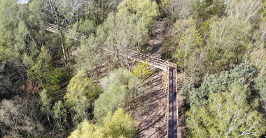 Ścieżka w koronach drzew znajduje się w dolinie rzeki Szklarki, na terenie leśnictwa Antoninek