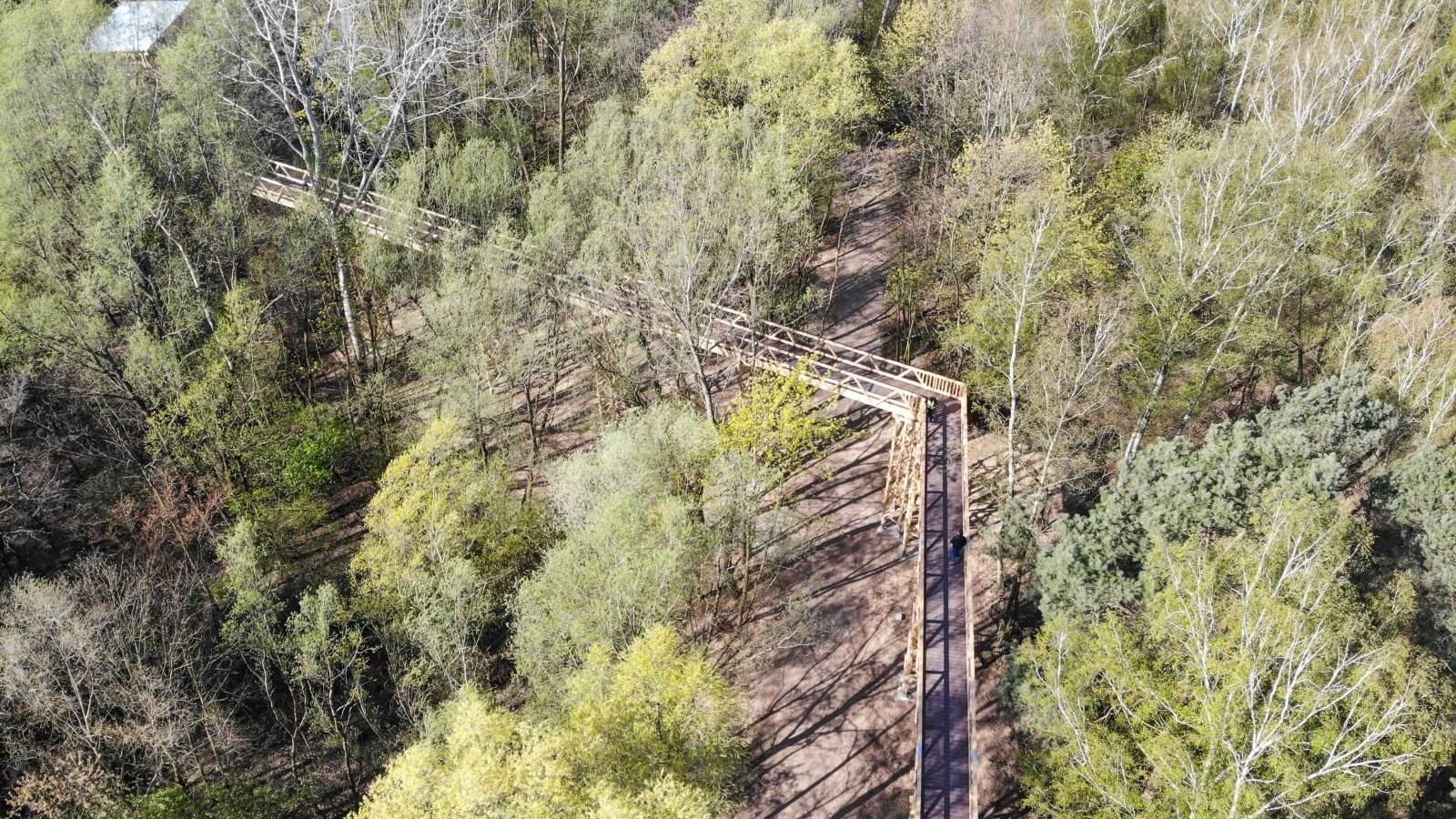 Ścieżka w koronach drzew znajduje się w dolinie rzeki Szklarki, na terenie leśnictwa Antoninek