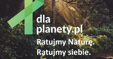 Miasto Poznań przyłącza się do kampanii "Zielona Wstążka #DlaPlanety"