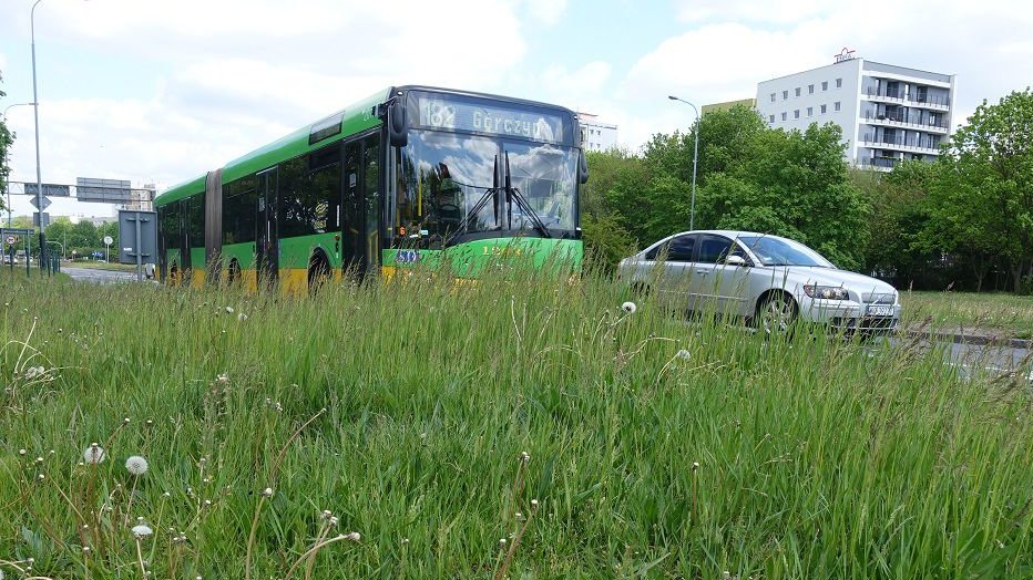 Miasto w tym roku zmniejszy powierzchnię koszonego terenu przy drogach o 30 procent