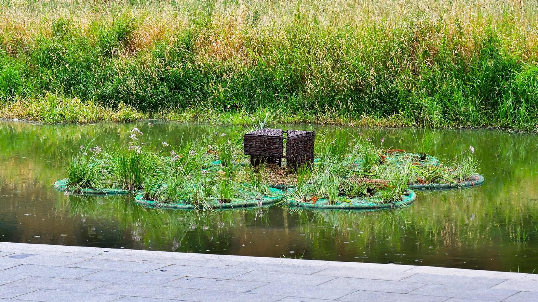 Miasto Poznań realizuje pilotażowo projekt pływających ogrodów/ fot. Michał Strokowski