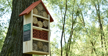 W ramach programu "Poznań dla pszczół" w przestrzeni miejskiej wieszane są domki dla owadów