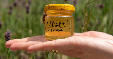 Pszczoły, żyjące w pasiekach na Cytadeli, zaczęły już produkować miód
