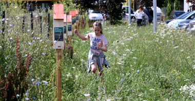 Jasnowłosa dziewczynka biegnie przez wysokie trawy, obok niej rząd domków dla owadów