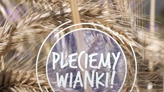 Zdjęcie kłosów zboża, na nich napis: dożynki 2020 w Poznaniu - pleciemy wianki