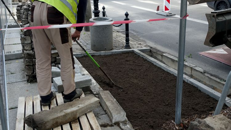 Robotnicy przygotowują odgruzowany teren do nasadzeń
