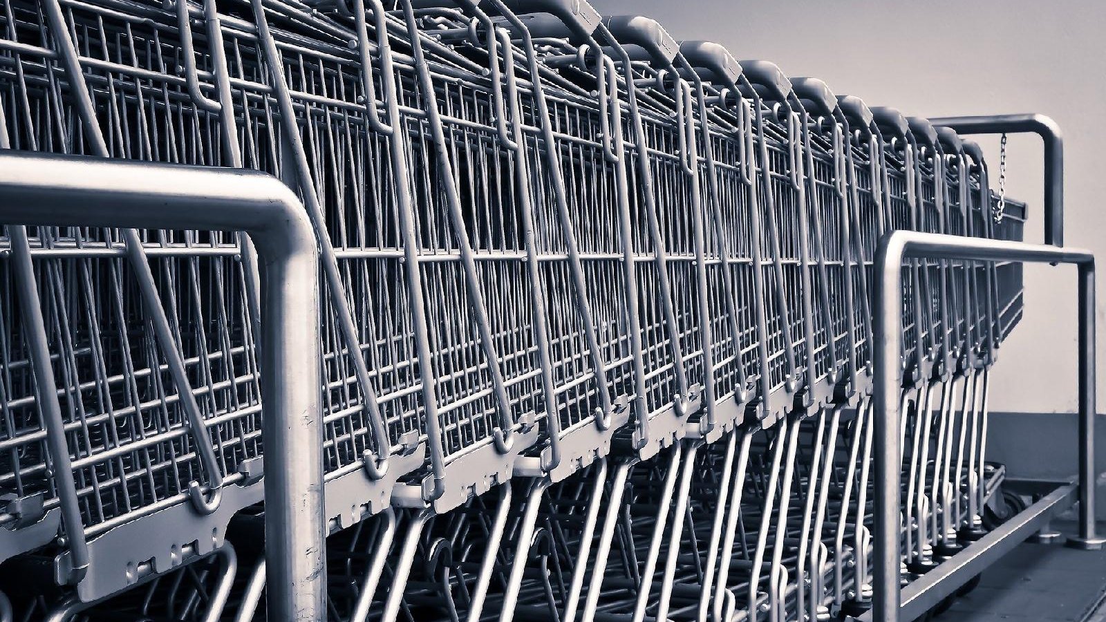 Zdjęcie przedstawia rząd wózków sklepowych ustawionych jeden za drugim
