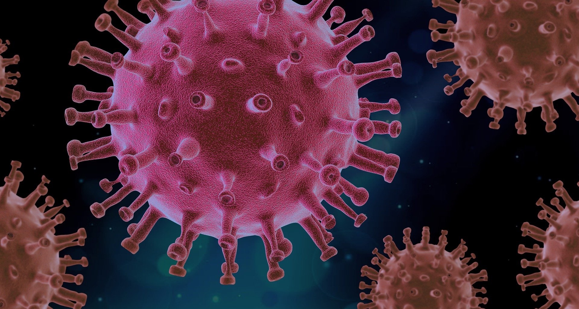 Grafika przedstawiająca różowe cząsteczki koronawirusa na niebieskim tle - grafika artykułu