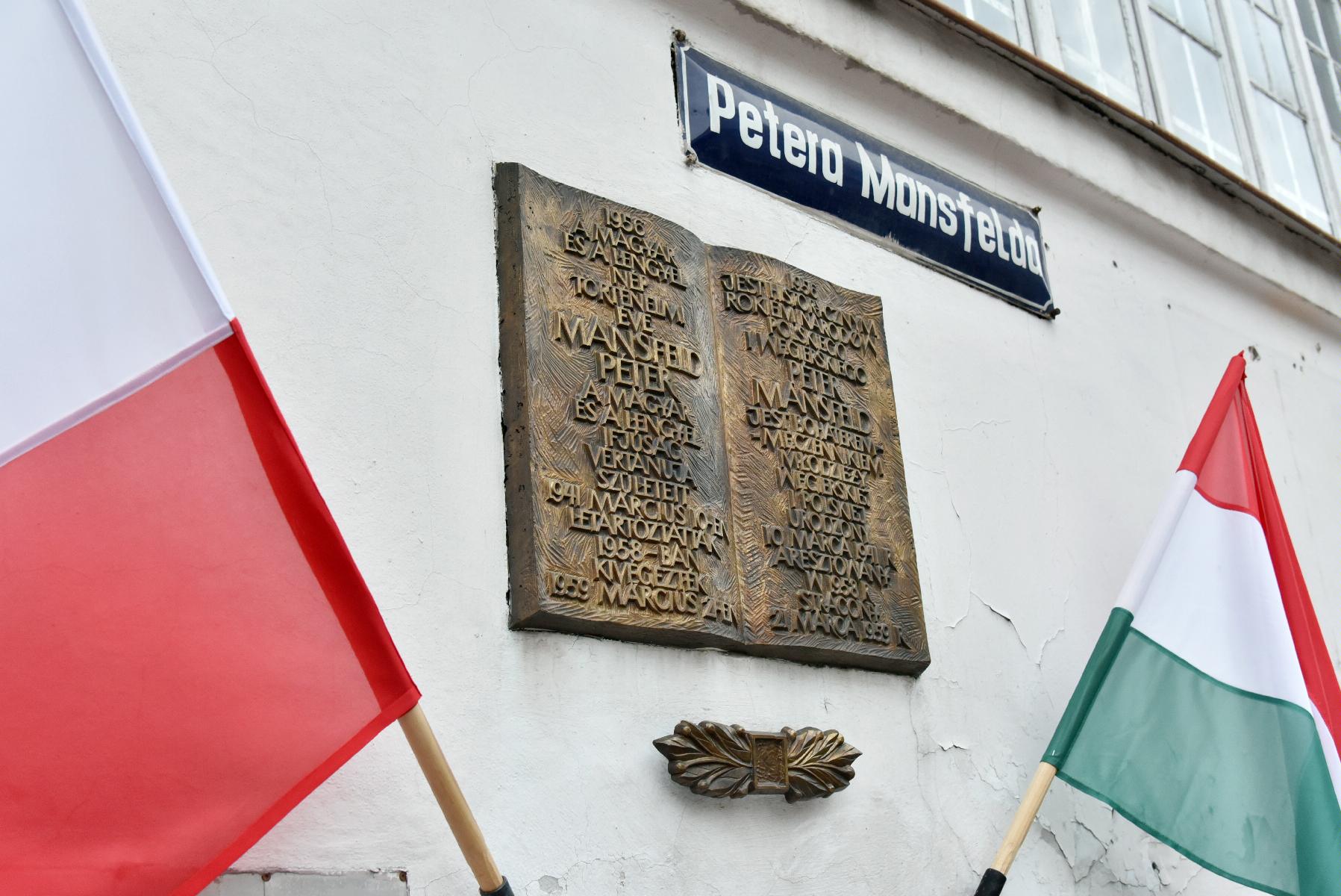 Na zdjęciu widać tablicę poświęconą pamięci Petera Mansfelda. Po bokach kadru flagi Poslki i Węgier. - grafika artykułu