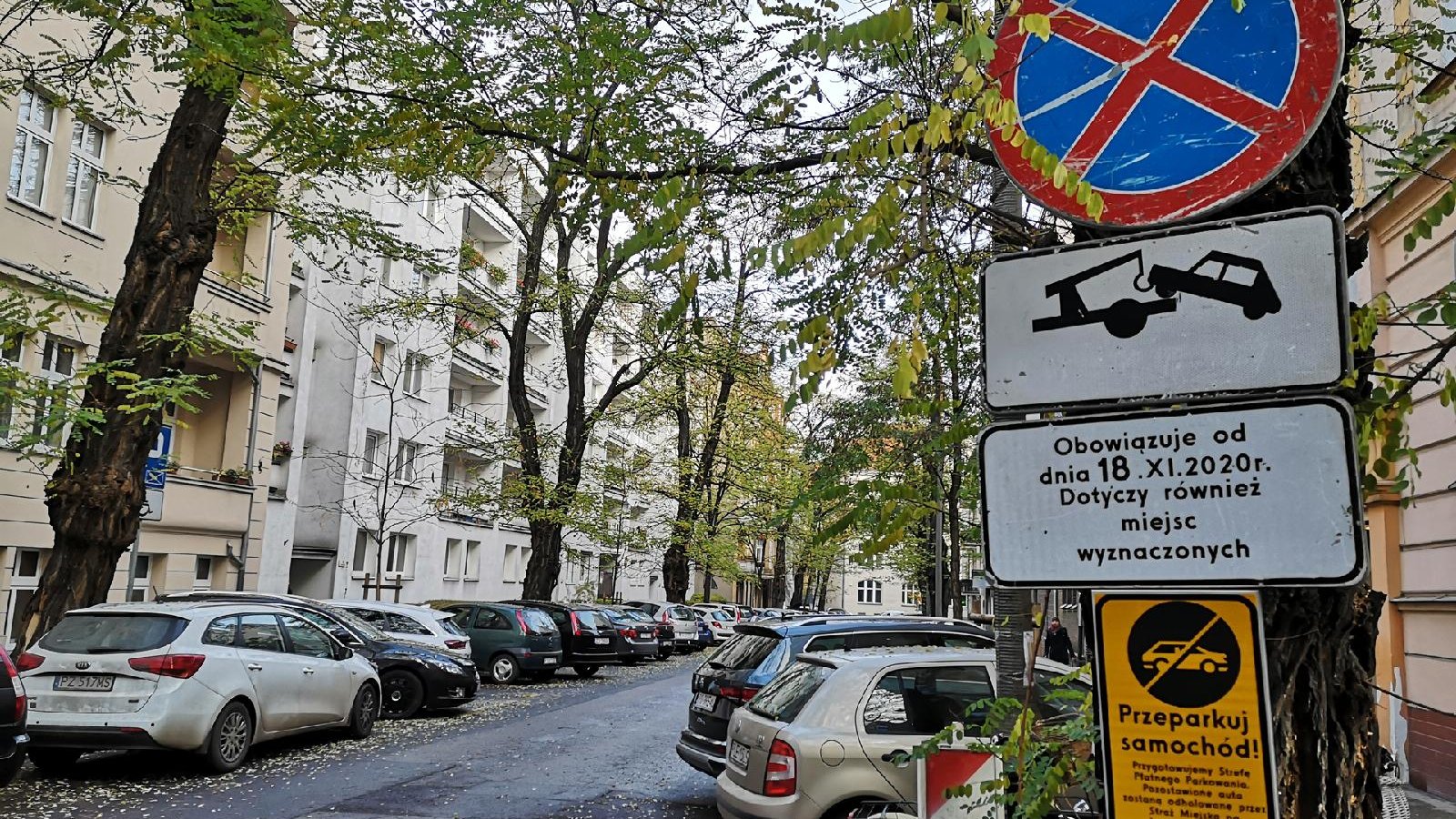 Znak informujący o przeparkowaniu samochodów. Na ulicy samochody i jesienne drzewa