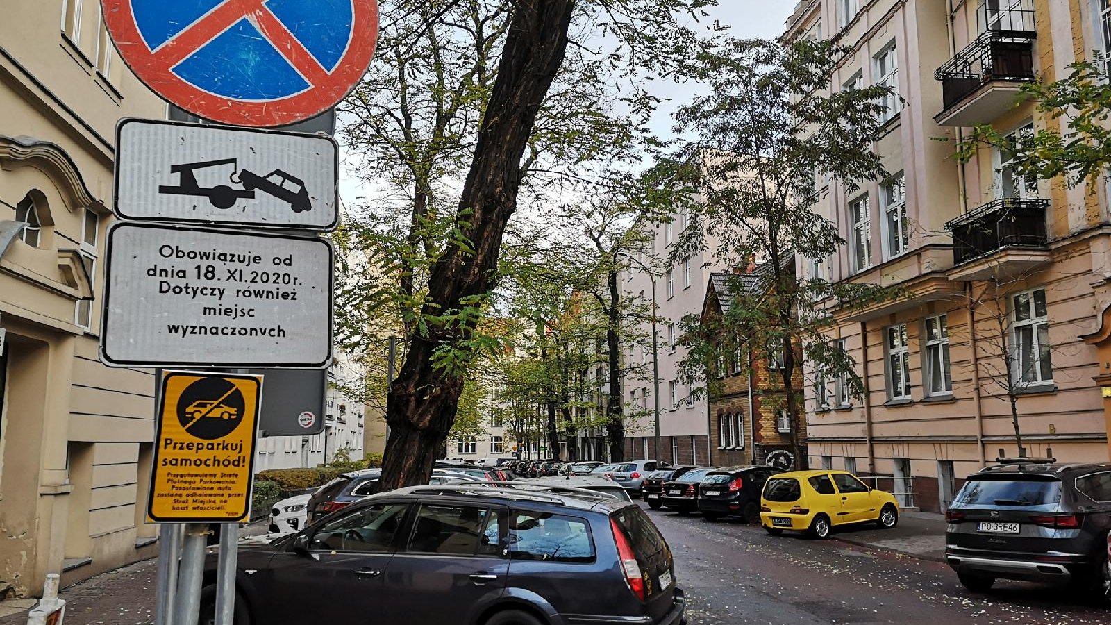Znak informujący o przeparkowaniu samochodów. Na ulicy samochody i jesienne drzewa