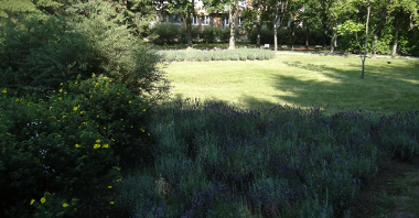 Zdjęcie przedstawia teren zielony - kwiaty, trawę i drzewa - na osiedlu, wśród bloków.