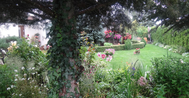Zdjęcie przedstawia ukwiecony ogród.