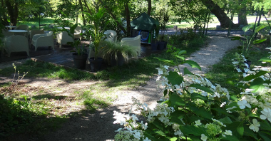 Ogród Szeląg - zdjęcie przedstawia siedzenia i stoliki wśród roślin.