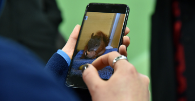 Na zdjęciu dłoń kobiety trzymającdej smartfon. Na ekranie widać zdjęcie wiewiórki jedzącej orzech