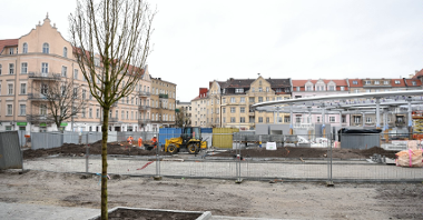 Rynek Łazarski, na pierwszym planie nowe drzewa, w tle kamienice