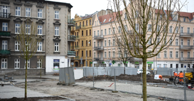 Rynek Łazarski, na pierwszym planie nowe drzewa, w tle kamienice