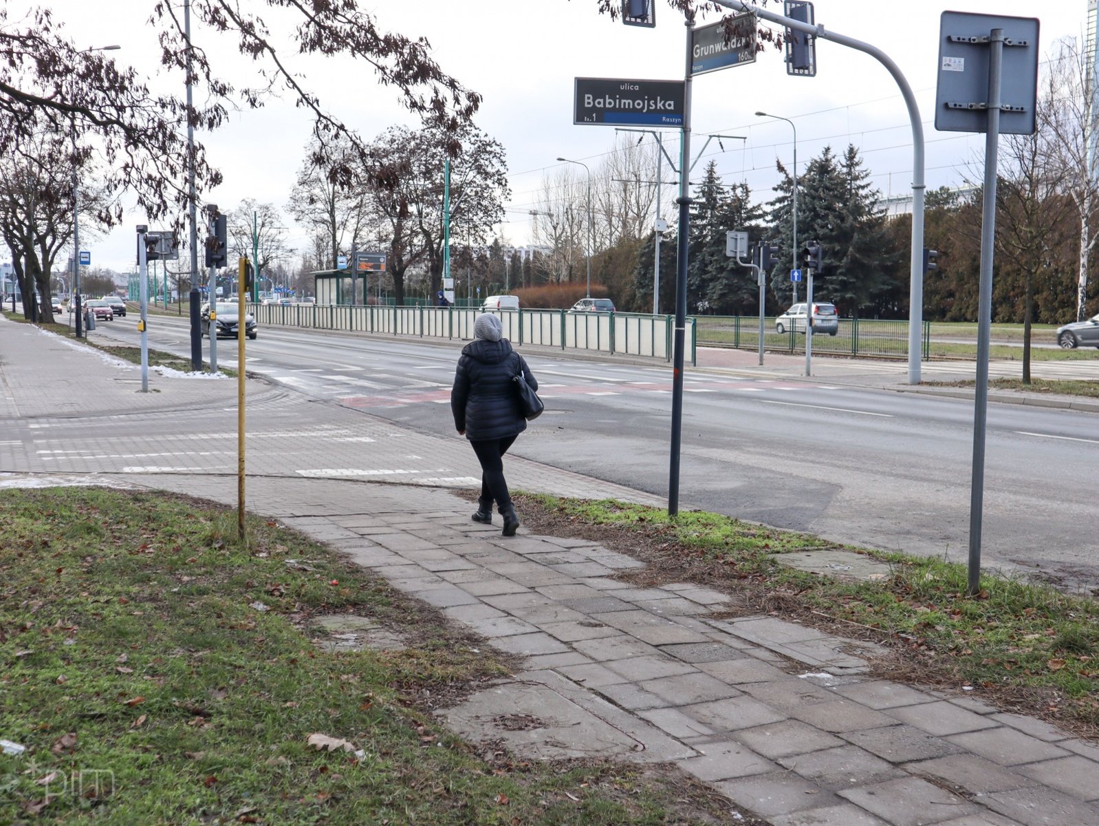 Galeria zdjęć pokazujących stan chodnika i drogi rowerowej przy ul. Grunwaldzkiej - grafika artykułu
