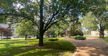 Na zdjęciu widać parkowe alejki spacerowe biegnące wśród drzew, krzewów i równo przyciętego trawnika.