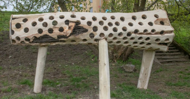 Zdjęcie przedstawia drewnianą instalację w kształcie pnia z otworami dla ptaków i owadów.