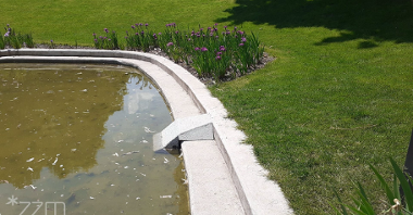 Zdjęcie przedstawia sadzawkę w parku. Na murku okalającym zbiornik widać betonowy stopień. Obok znajduje się zieleń.