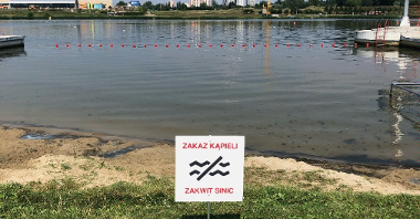 Zdjęcie przedstawia kąpielisko nad Jeziorem Maltańskim. Na pierwszym planie widać tabliczkę z napisem "zakaz kąpieli".