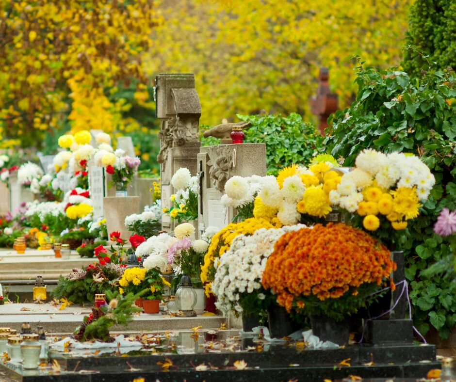 Zdjęcie przedstawia kwiaty na grobach. - grafika artykułu