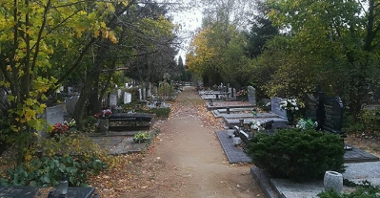 Zdjęcie alejki z grobami na Junikowie