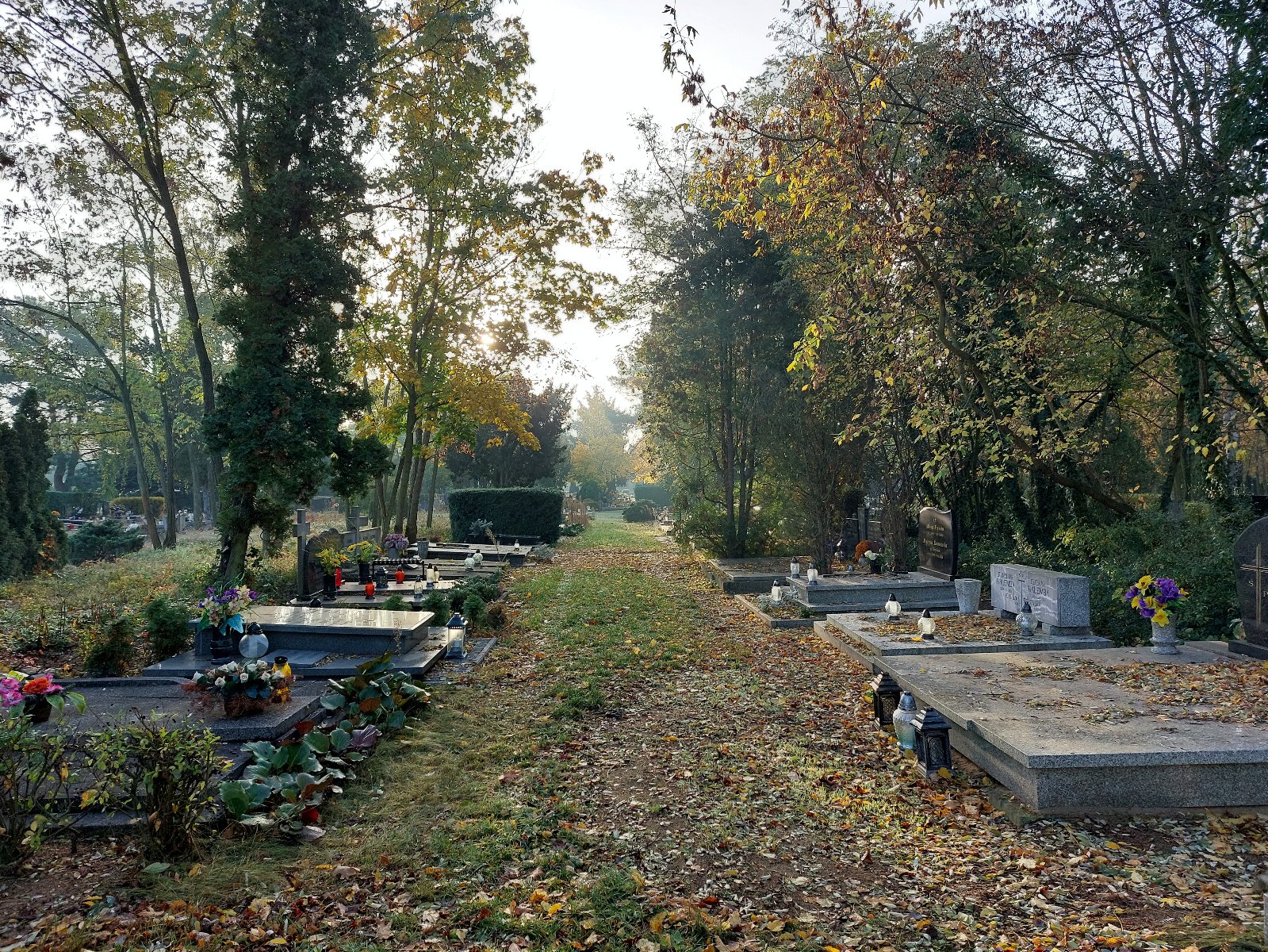 Alejka na cmentarzu na Junikowie - grafika artykułu