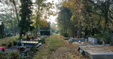 Alejka na cmentarzu na Junikowie