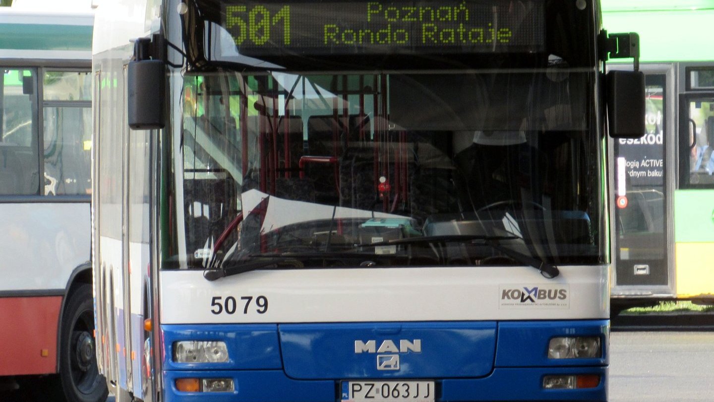 Autobus linii nr 501 - grafika artykułu