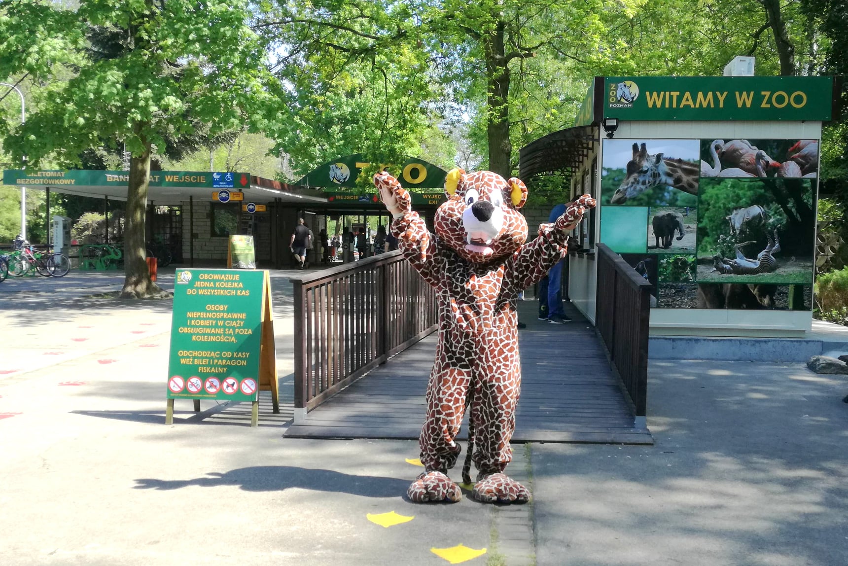 Zdjęcie przedstawia człowieka przebranego za pluszowego geparda. W tle widać wejście do zoo. - grafika artykułu