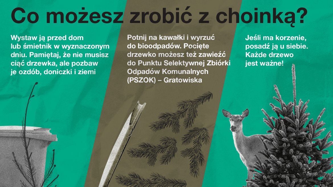 Grafika przedstawia rysunki pojemników na odpady, choinek oraz sarny, a także informację tekstową o wyrzucaniu choinek. - grafika artykułu