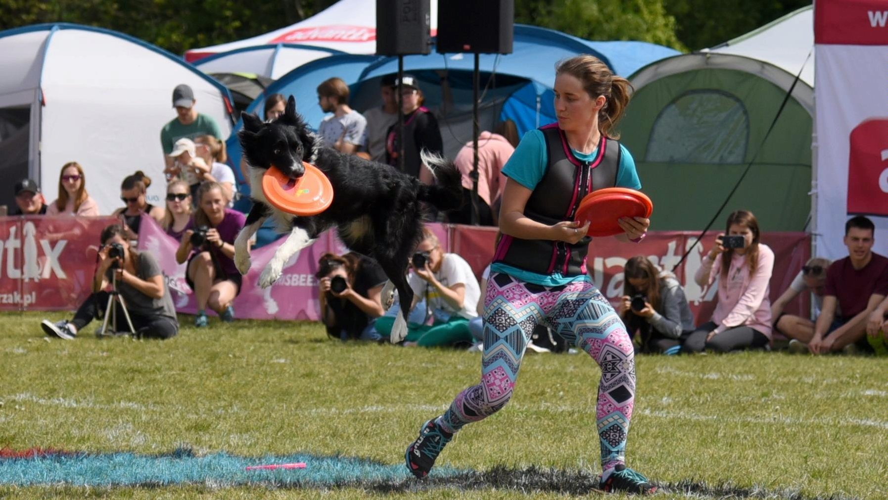 Zdjęcie przedstawia dziewczynę rzucającą frisbee oraz psa, który łapie frisbee w locie. W tle widać obserwujących pokaz ludzi. - grafika artykułu