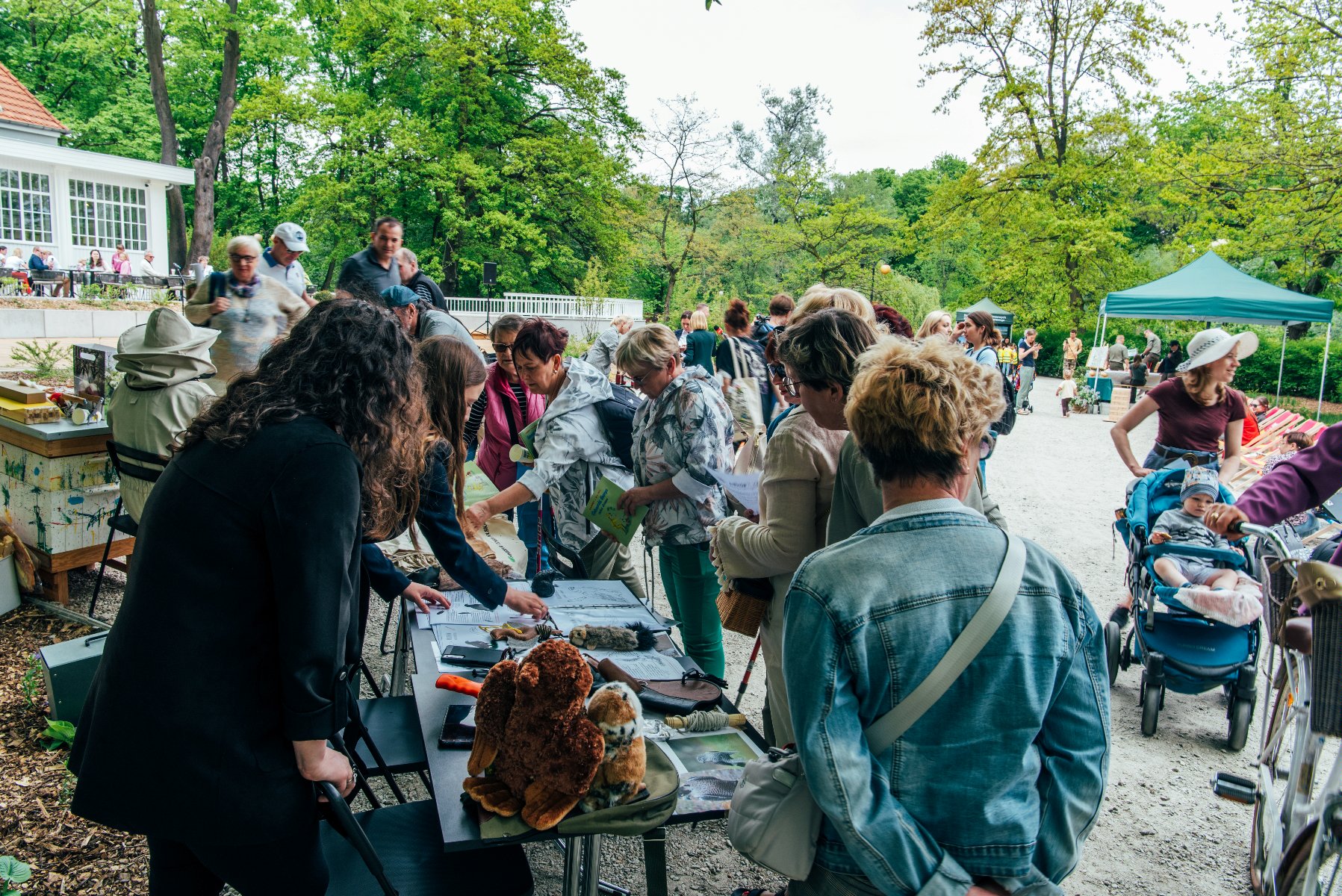 Galeria zdjęć przedstawia piknik w parku Sołackim. Na zdjęciach widać ludzi podczas wspólnego sprzątania, sadzenia drzew i różnych warsztatów. - grafika artykułu