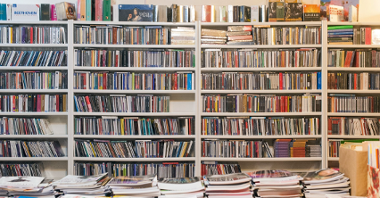 Zdjęcie przedstawia półki z książkami.