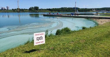 Na zdjęciu jezioro, na brzegu tabliczka z napisem: Zakaz kąpieli, zakwit sinic