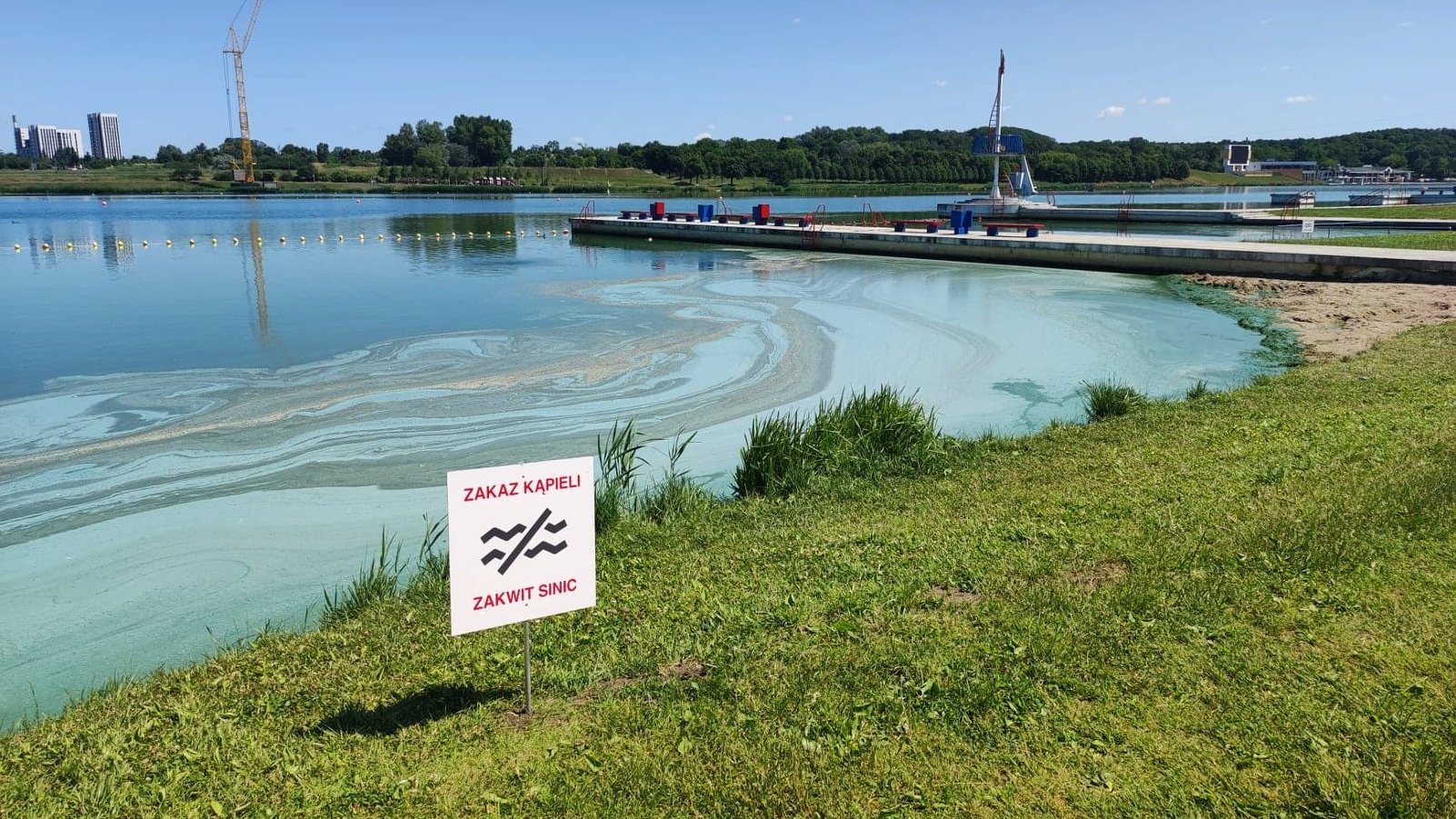 Na zdjęciu jezioro, na brzegu tabliczka z napisem: Zakaz kąpieli, zakwit sinic - grafika artykułu
